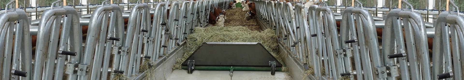 Automatische Fütterung - Beidseitige Fütterung - feedstar