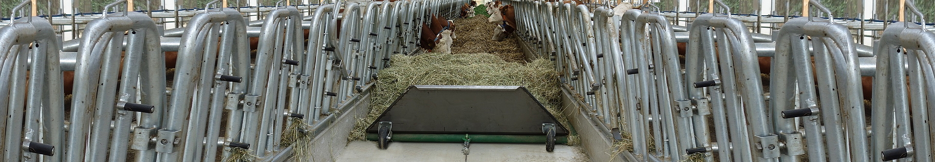 Automatische Fütterung - Beidseitige Fütterung - feedstar